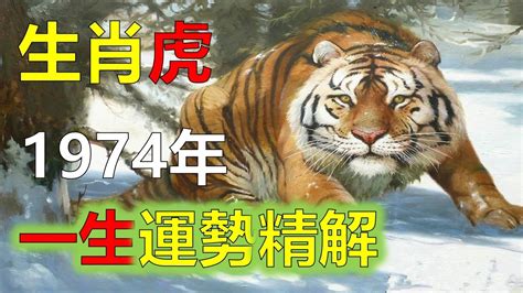 1974年屬虎|【1974年生肖】1974年生肖運程大公開！屬虎者2024年全年運勢。